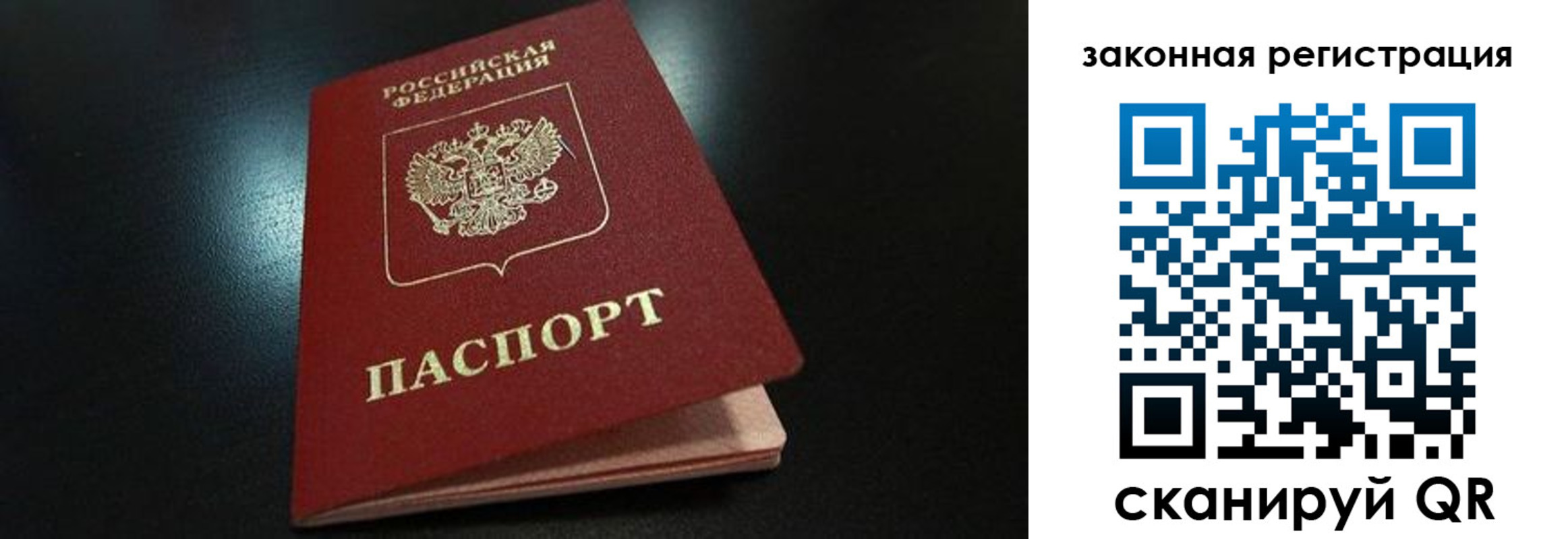 прописка 2025 в Каргополе